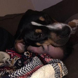 Meet your Posher, Chelsie